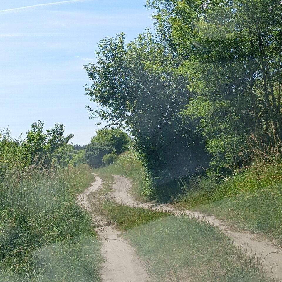 1000003678.jpg - Wszolek