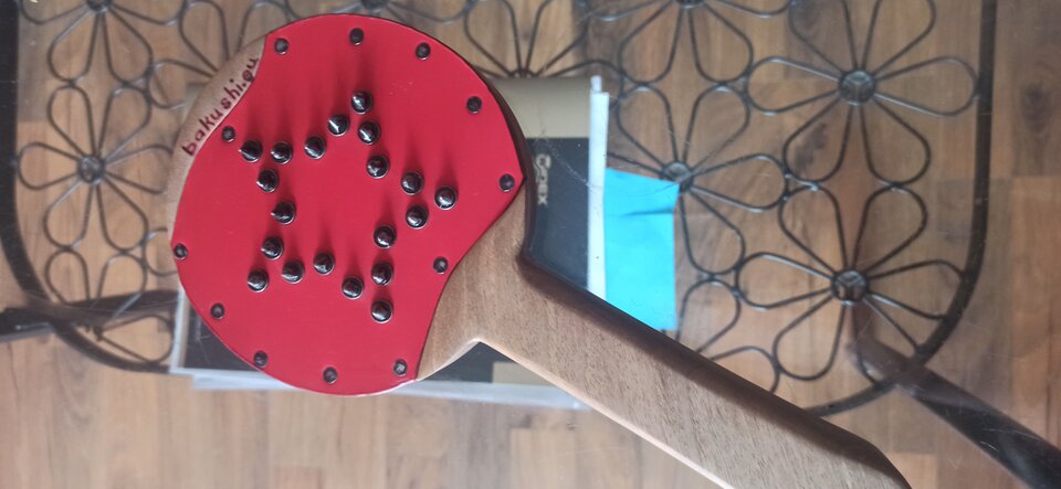 IMG_20250510_135554.jpg - Subtly_pastel