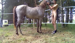Konik - 20250620_1133.mp4_snapshot_00.45.323.jpg