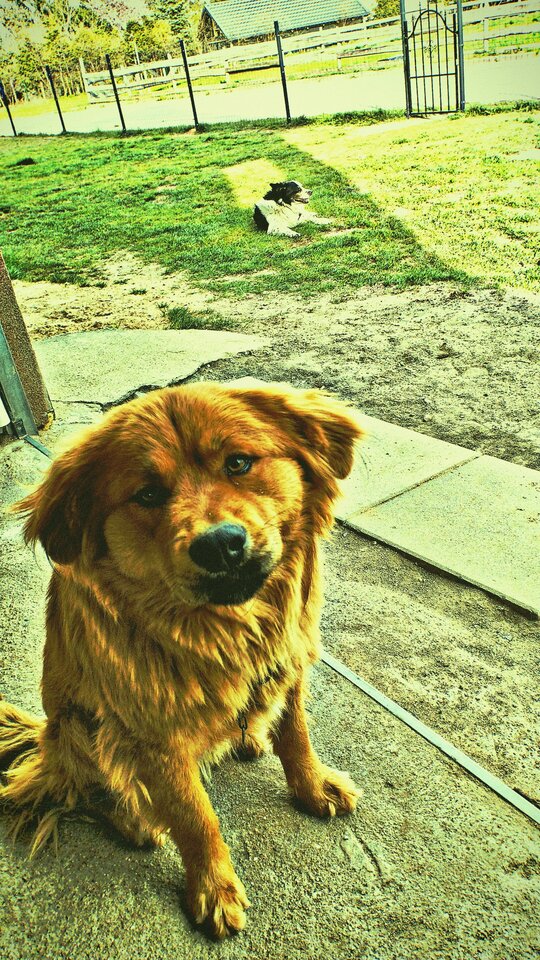 IMG_20250418_231348.jpg - Albanito29