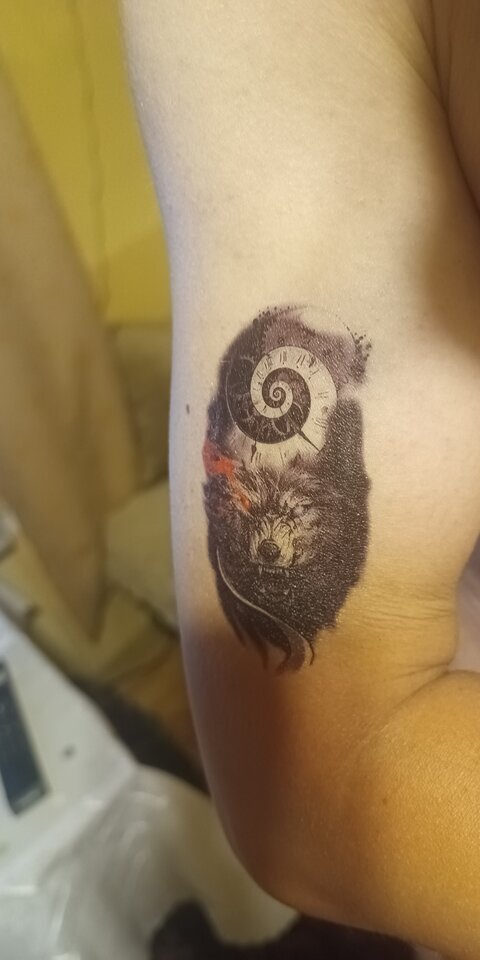 IMG_20250622_002533_127.jpg - Klepo