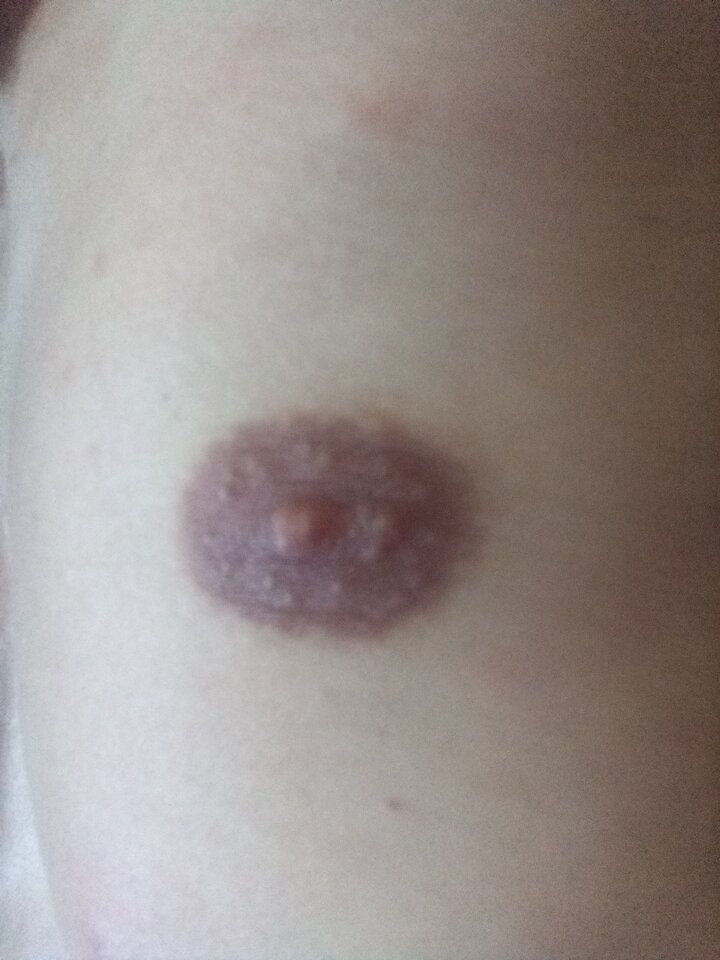 17505772193331165204764491859061.jpg - Warmiaccy