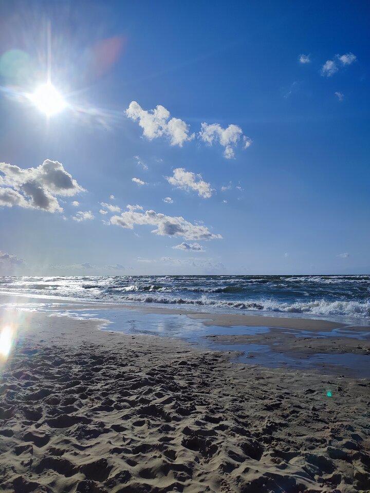 IMG_20240728_175837.jpg - januszkarpacz27