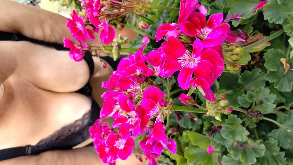 IMG_20250622_171804937_HDR.jpg - ciupciup6474