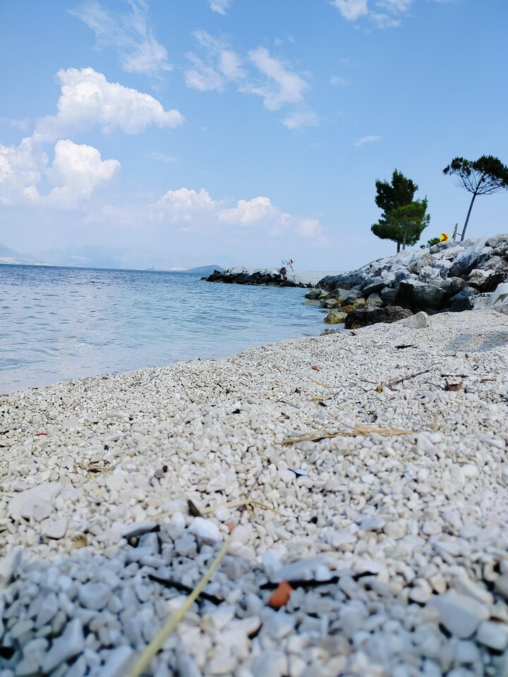 1000015984.jpg - A_tma