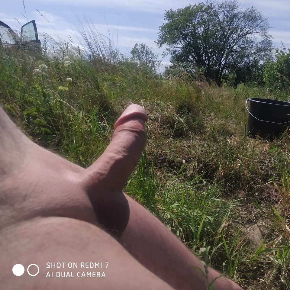 IMG_20250622_141007.jpg - botomi3001