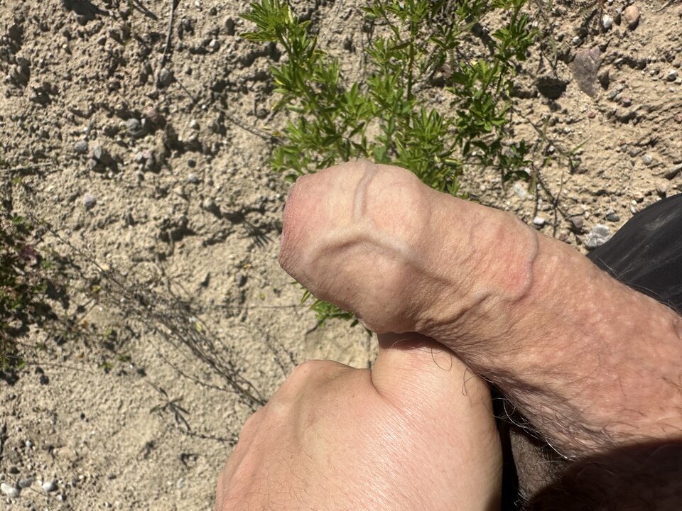 IMG_9972.jpeg - thx77