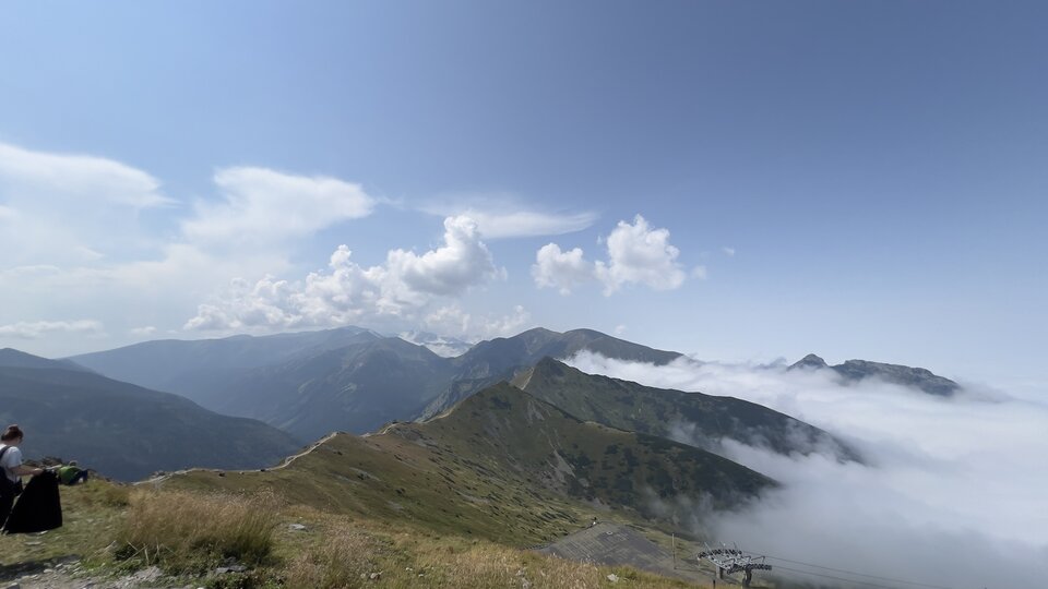 IMG_2167.jpeg - 500Magnum