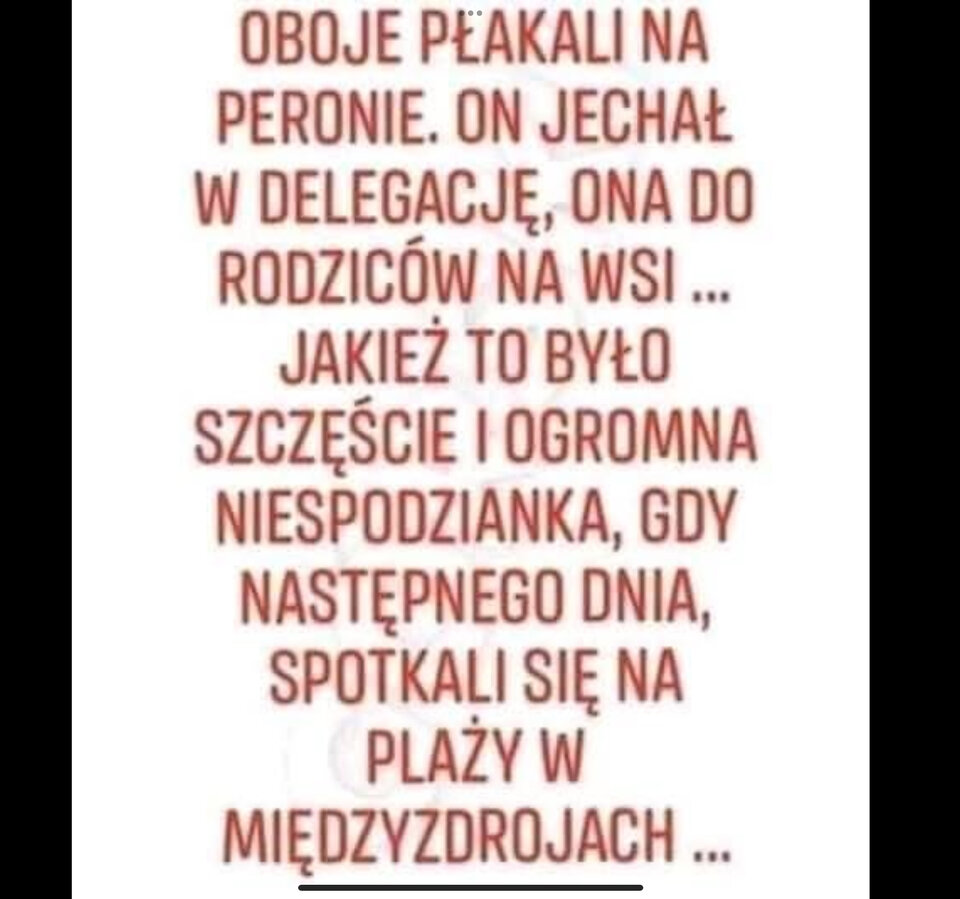 IMG_4602.jpeg - 1yorkjo