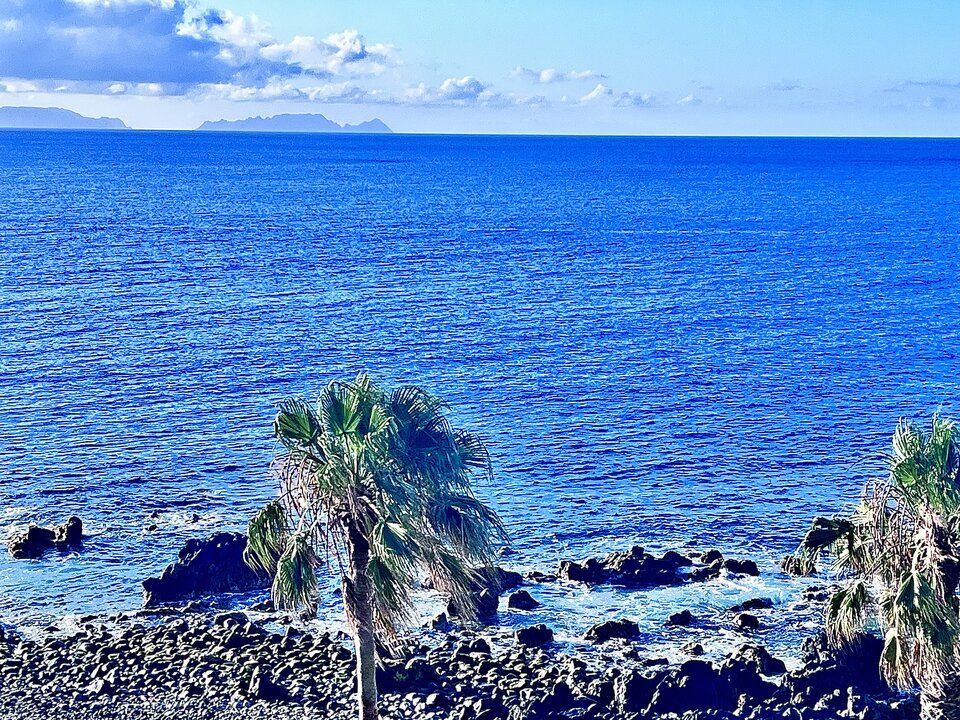 IMG_8737.jpeg - SirWolf