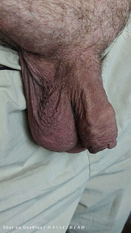 1000014938.jpg - jogan