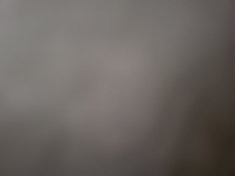 1000001722.jpg - Slodkopiqantna