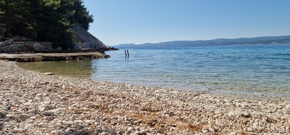 17506652285438689187356262934528.jpg - robin266