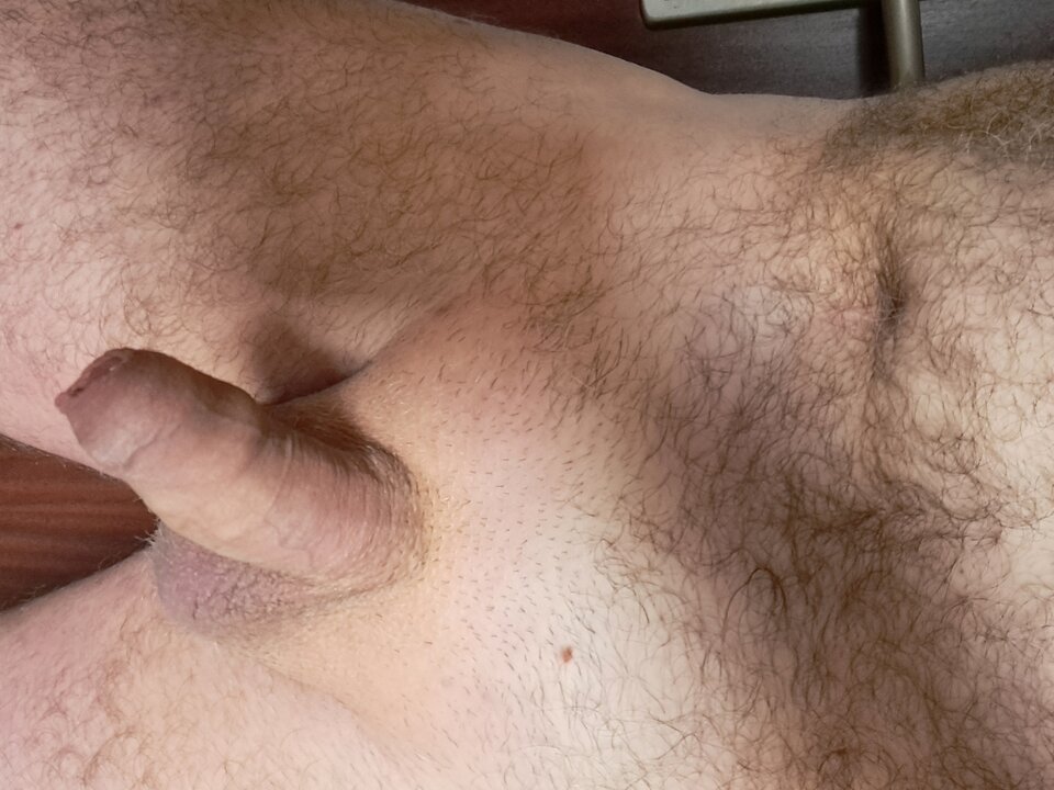 1000015838.jpg - robertson41