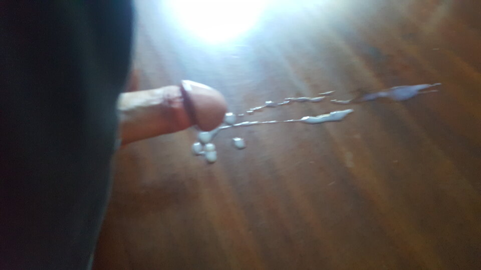 20180718_105503.jpg - pepe149