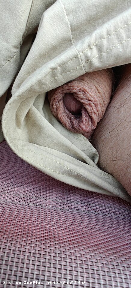 1000014972.jpg - jogan