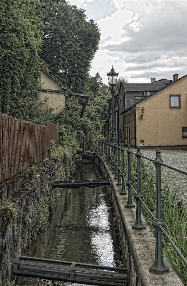 DSC_0572.JPG - mazi39