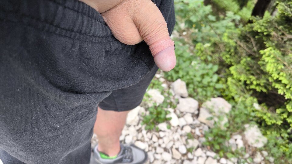 1000002966.jpg - malz69bi