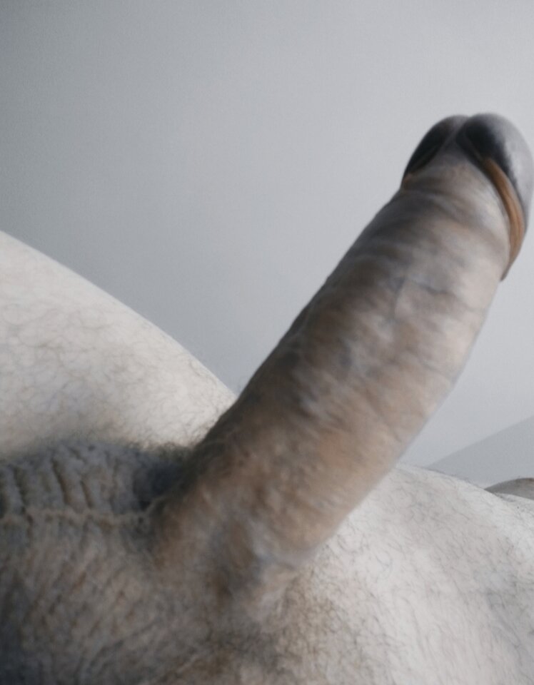 1000068333.jpg - Mikeqwert