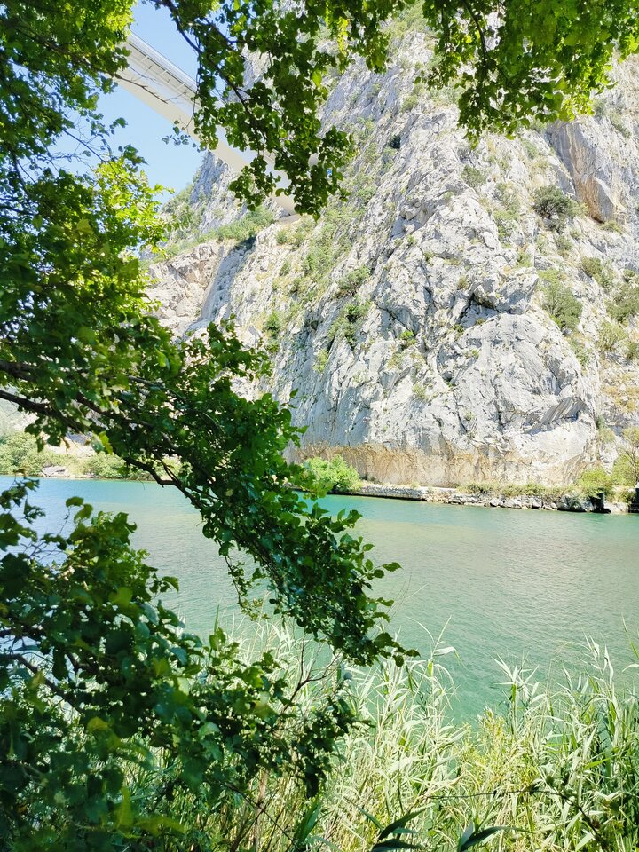 1000016318.jpg - A_tma