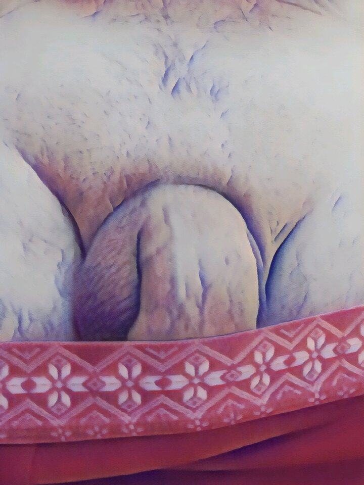 20250625_082957.jpg - TonySoprano14