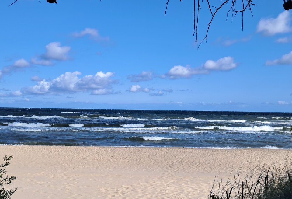 1000078369.jpg - Martikrysto75