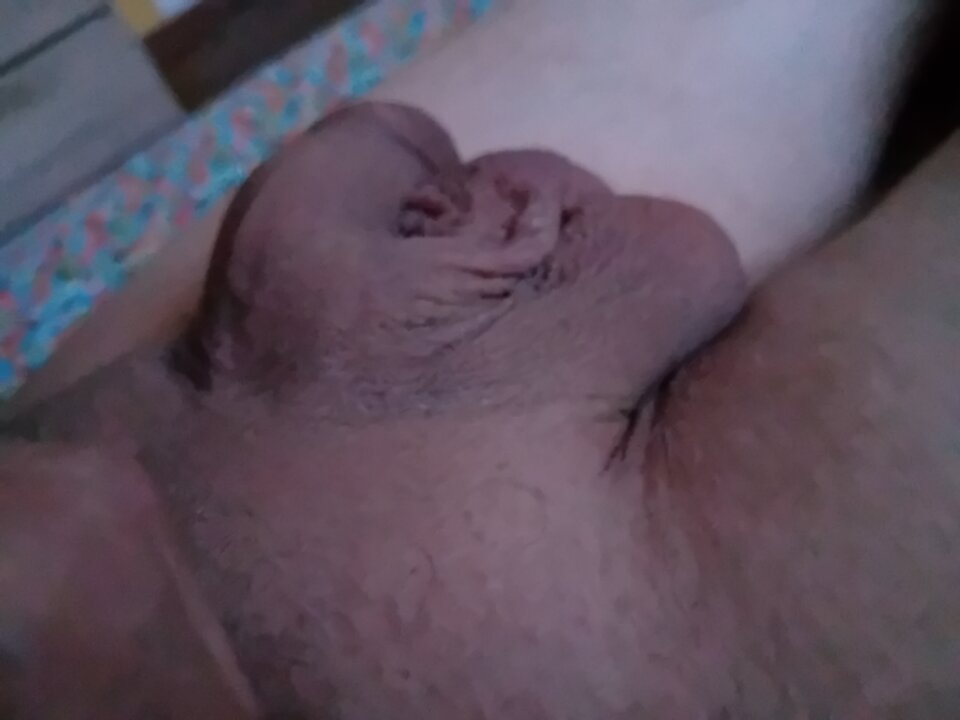 1000007785.jpg - brus13