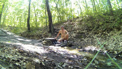 ROGOŹNIK - źródło 20250624_1457.mp4_snapshot_00.49_[2025.06.