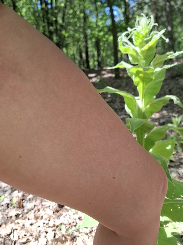 1000006634.jpg - gaw50