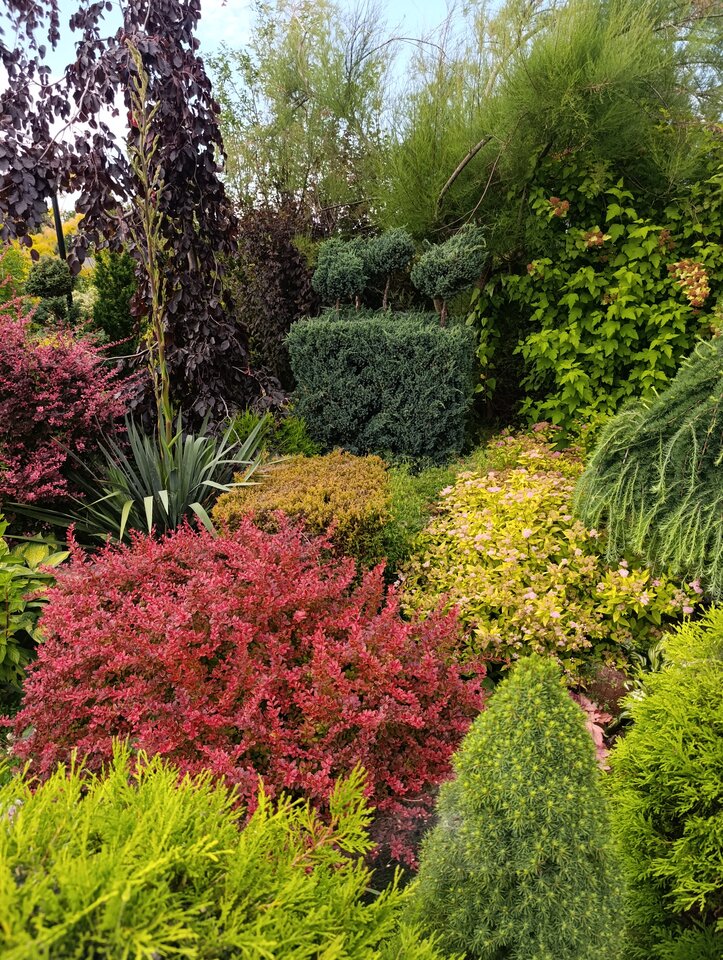 1000014469.jpg - Nowapara1922