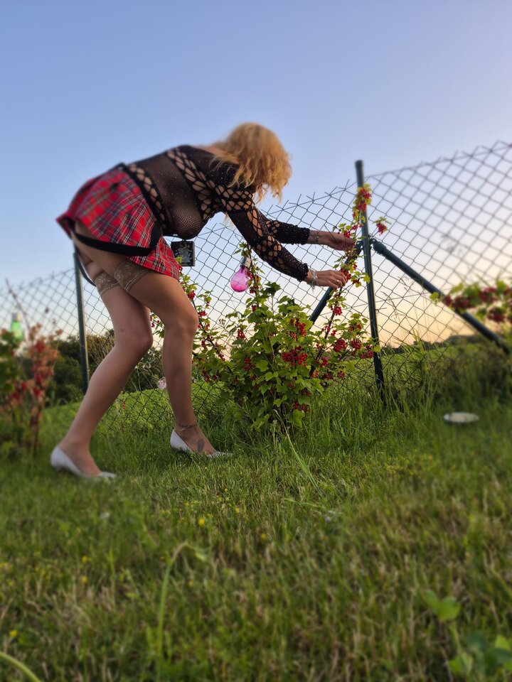 1000025566.jpg - KTPARA40