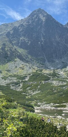 IMG_20250626_104037.jpg