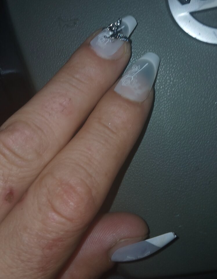 1000009124.jpg - Transpola