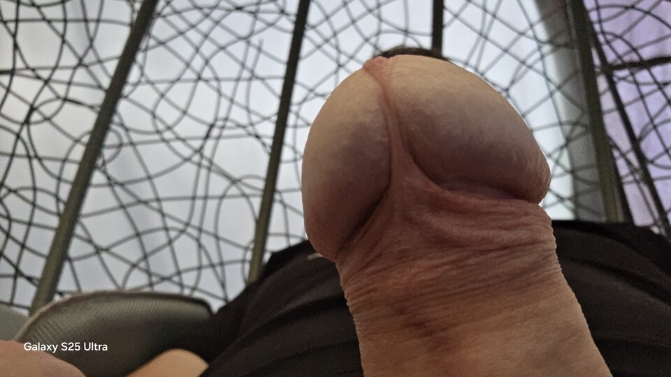 20250623_193624.jpg - pepe149