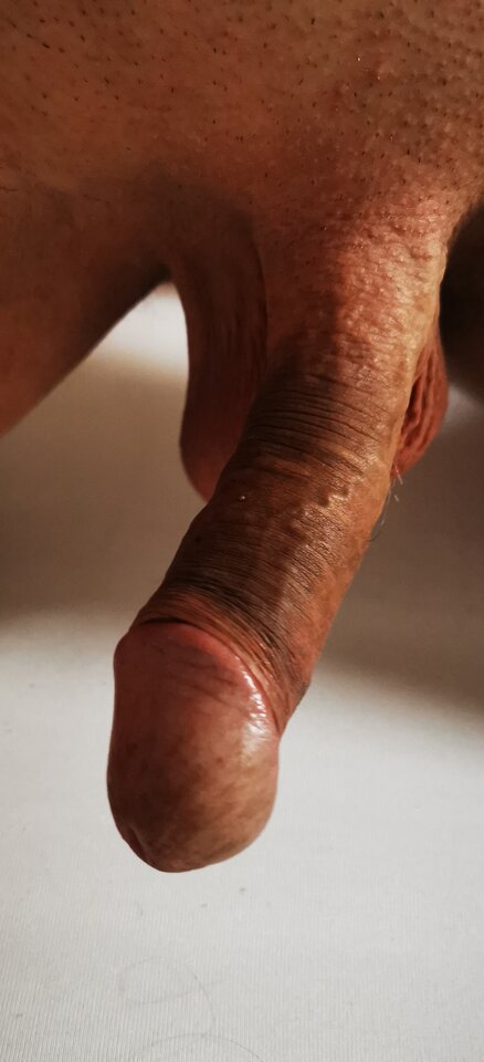 IMG_20250626_162248.jpg - Pan679