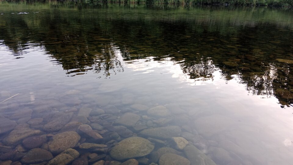 IMG-20250626-WA0000.jpeg - Zwyczajny2710