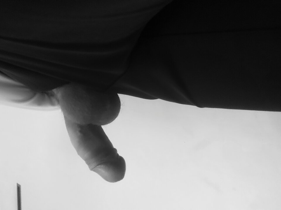 17510073433077031688888187668813.jpg - Giwera86