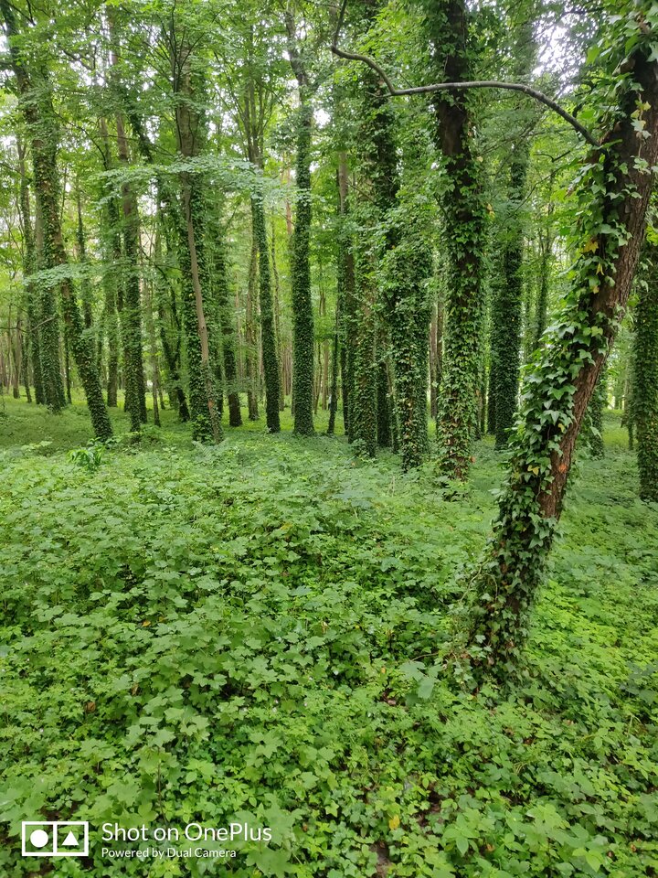 IMG_20230627_143904.jpg - maridamu1963