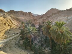 Wakacyjnie 🌞🐪😋