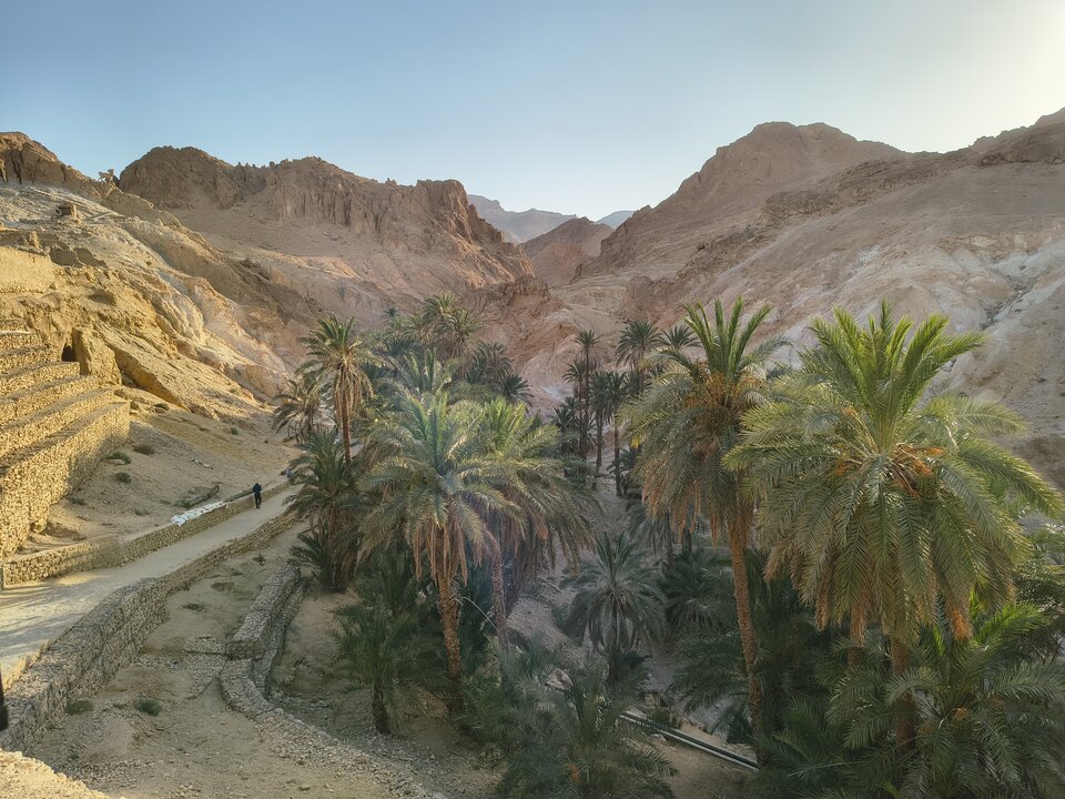 Wakacyjnie 🌞🐪😋 - kajkah