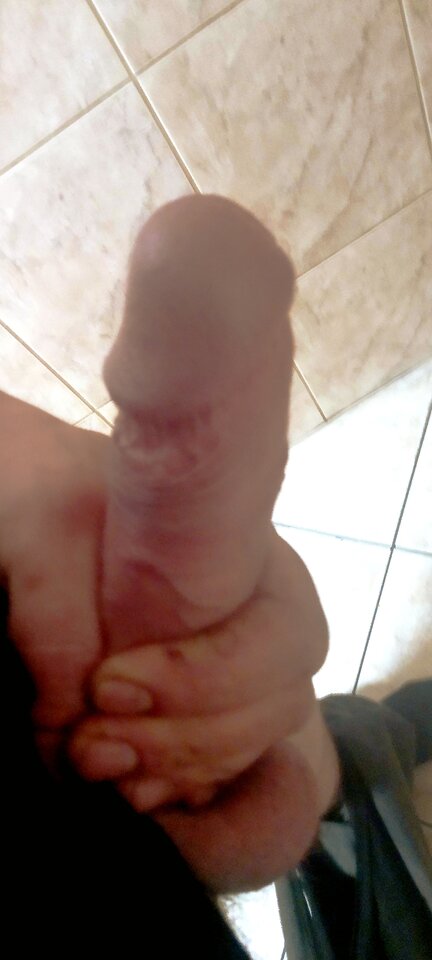 IMG_20250628_070619.jpg - fa7cowyn