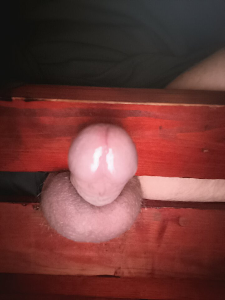 17510912015196739055815072080265.jpg - fa7cowyn