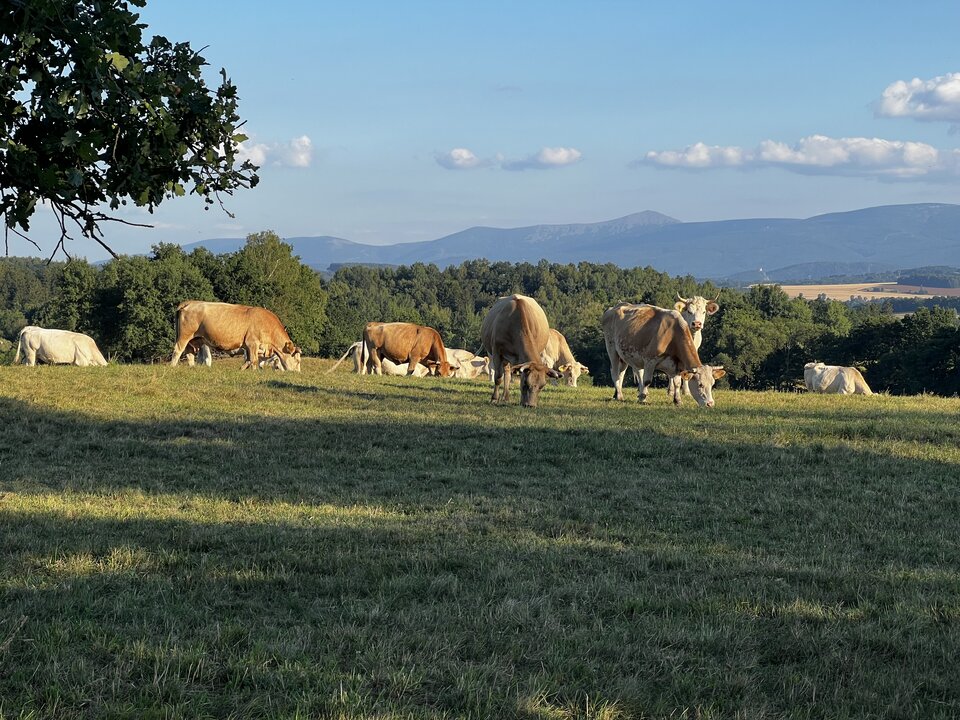 IMG_1526.jpeg - Kowalscy6869