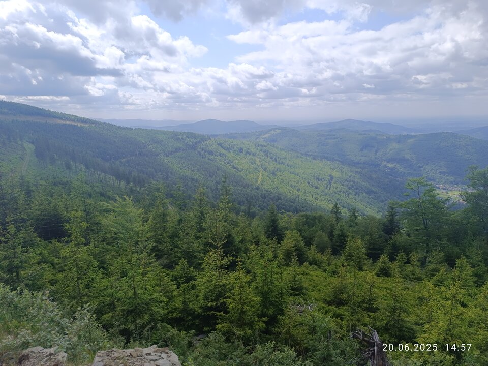 1000012787.jpg - Bull_Masters