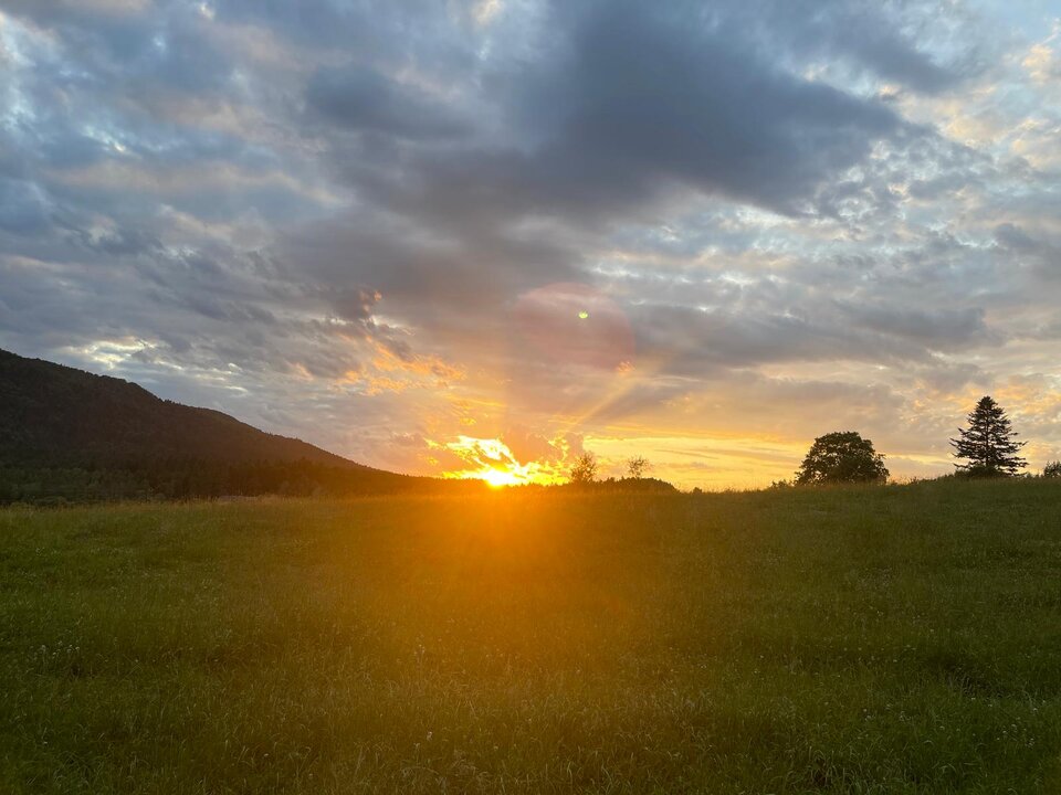 IMG-20250625-WA0051.jpg - Czarodzieje_alfa