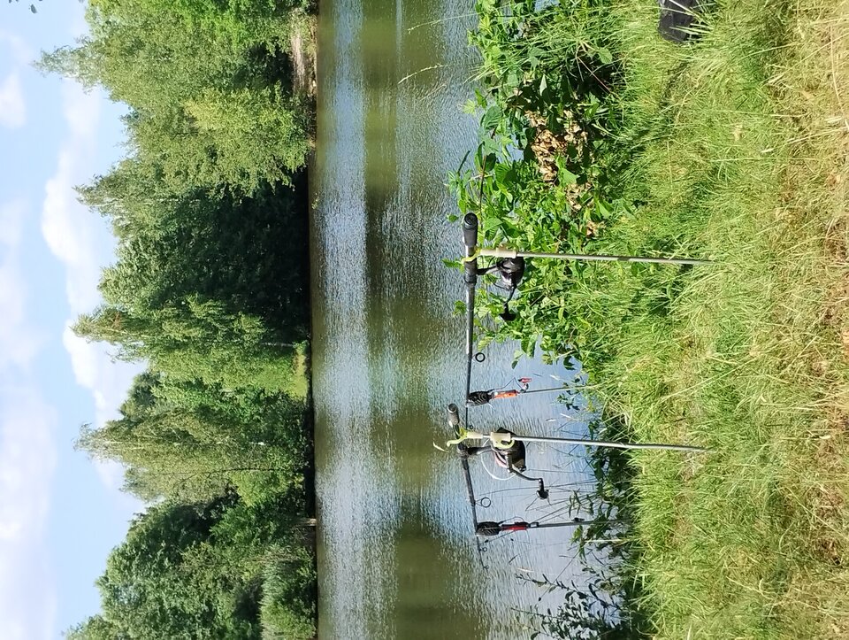 17511180393435468030658620506639.jpg - 9BDSM