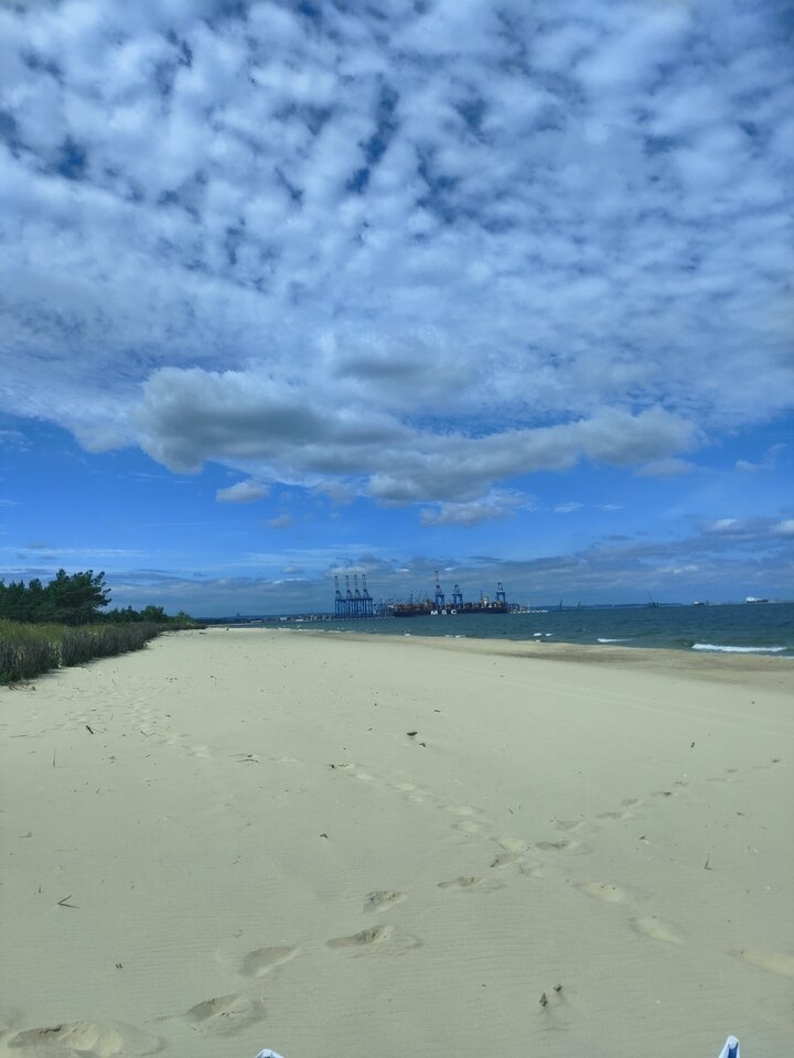 IMG20250628113903.jpg - geniuss15