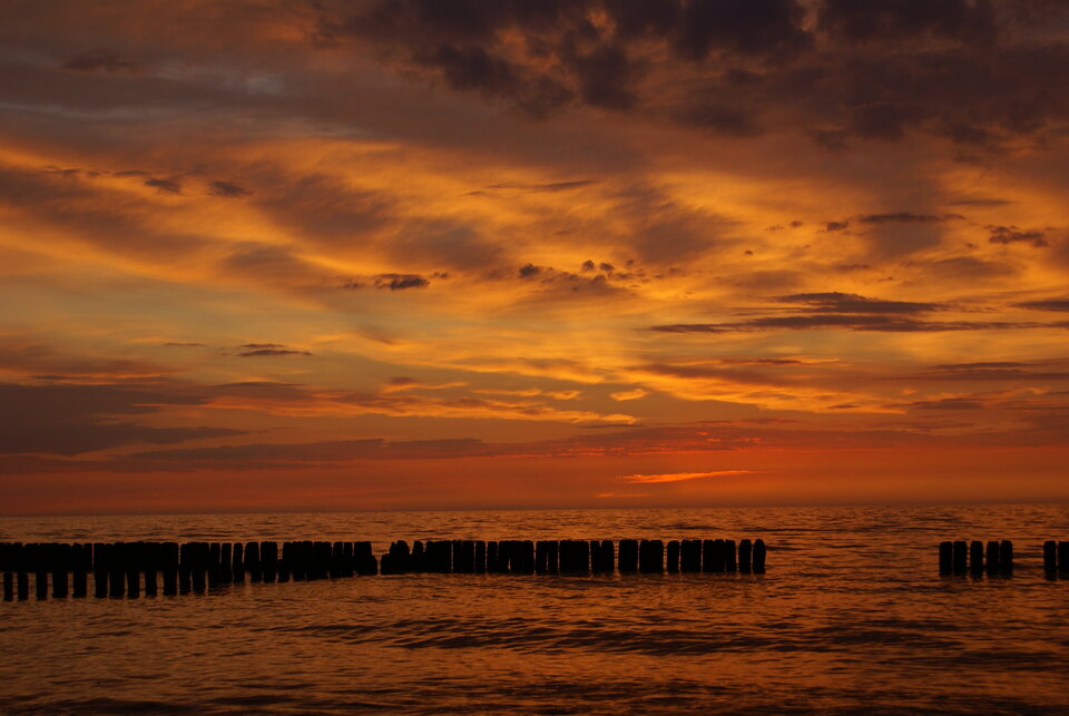 DSC04301.JPG - ad8ba