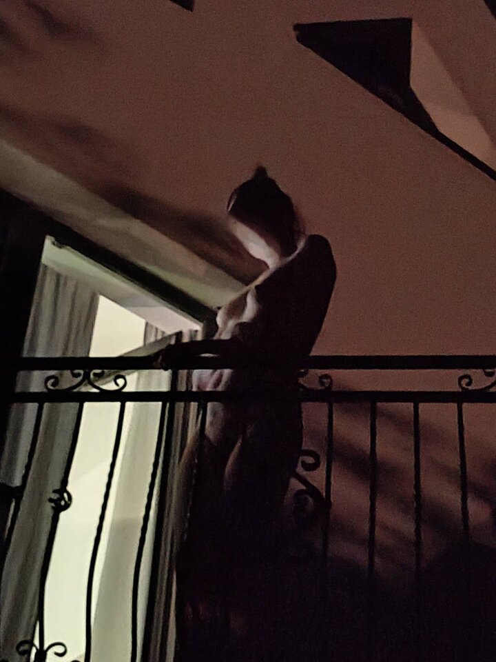 Nabalkoniewdzieńtargowy.jpg - KwietnaIZielony2