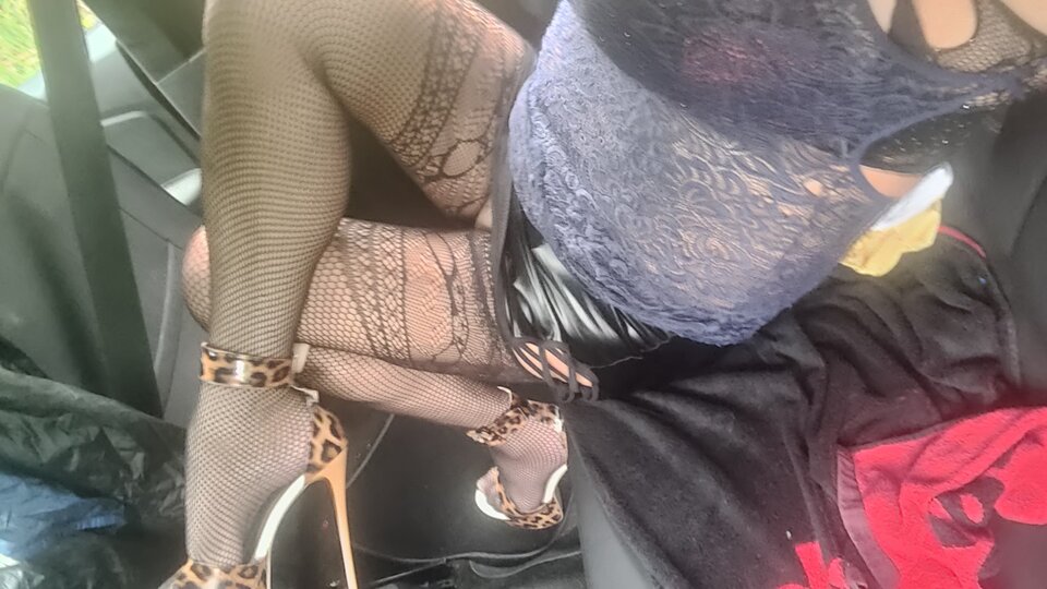 IMG20250624182859.jpg - paulstarkface